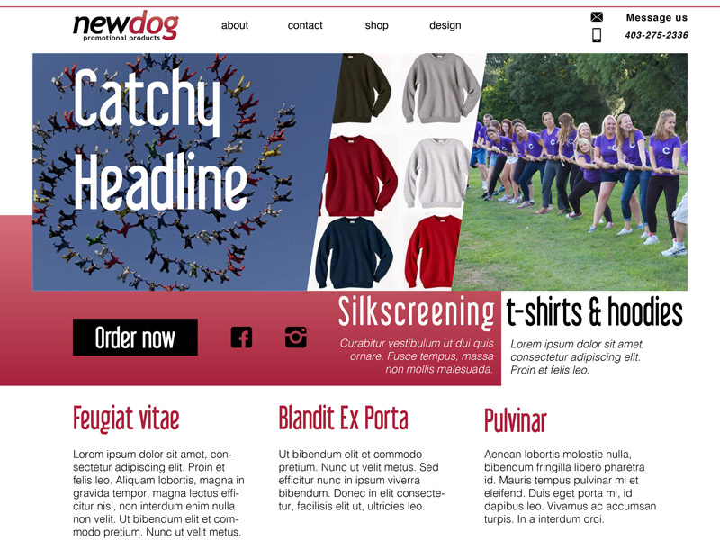 Newdog full screen web design layout