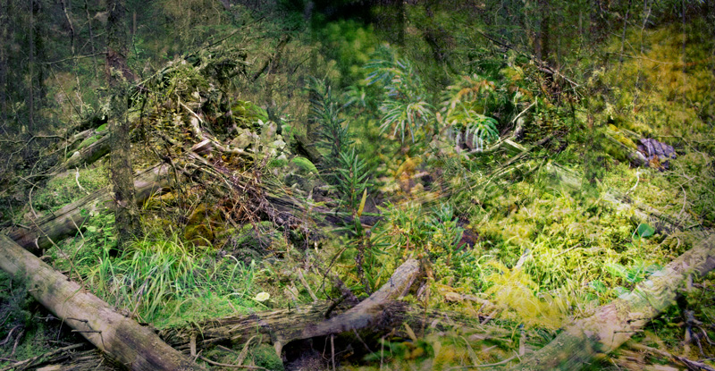 green space collage art